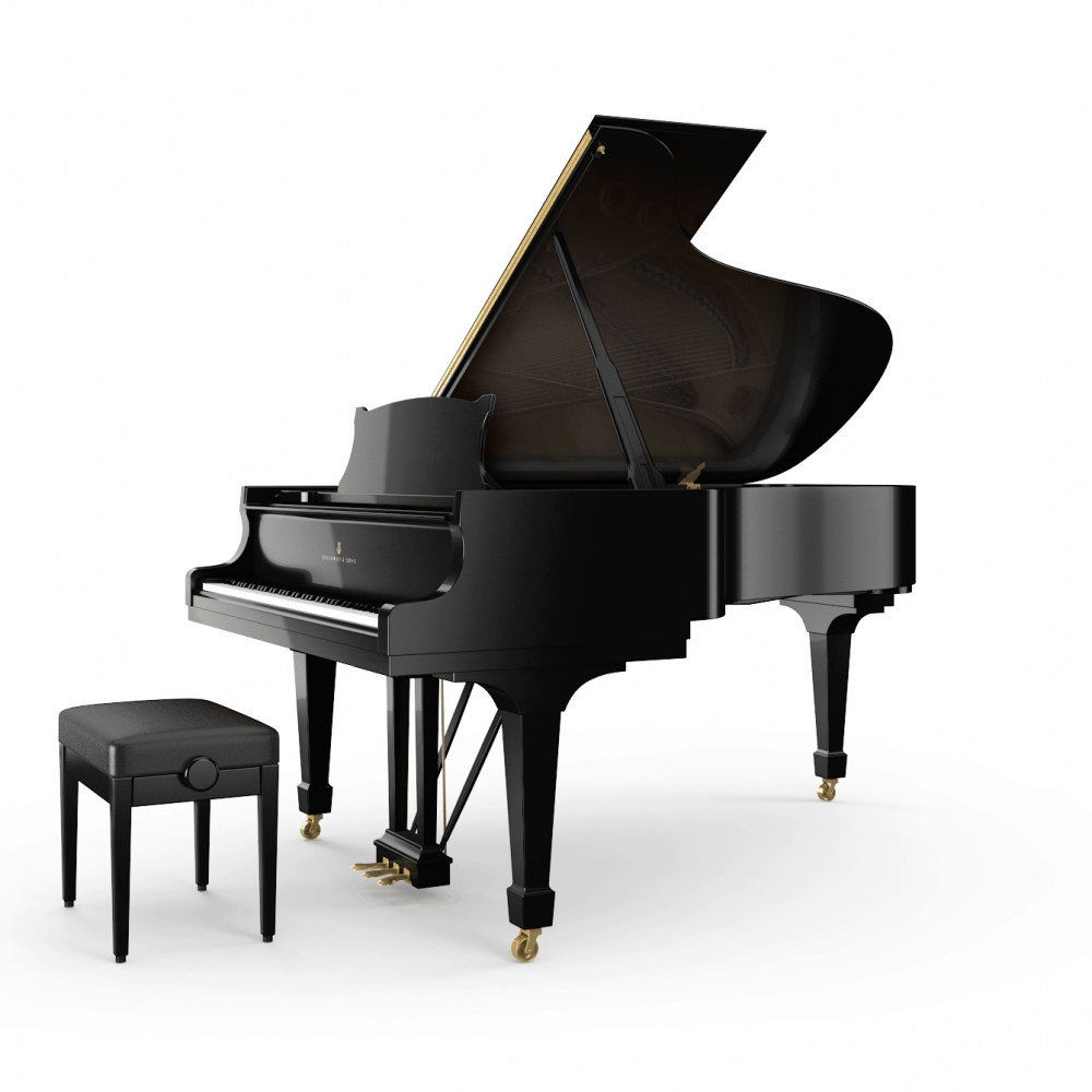 STEINWAY SPIRIO B 211